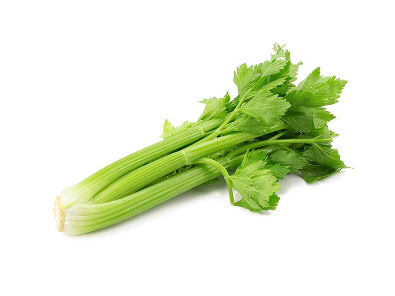 Celeri Branche